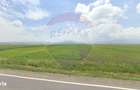 3 Loturi Cu Potential | Parc Industrial Prejmer | Investitie