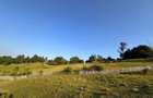 Teren intravilan talea /breaza - view superb - 3