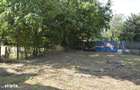 Suseni - Teren intravilan cu casa batraneasca, plan, suprafata 4700 mp - 18