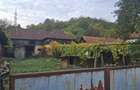 Casă tradițională cu teren generos – Borosteni, Peștișani, jud. Gorj - 10