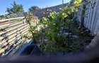 Rate / schimb Teren 190 mp Sector 6 | POT 70% CUT 2,5 | Vanzare / Asociere / Inchiriere | Deschidere 15 m - 1