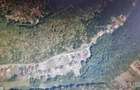 Vand 3600 mp padure, in Bascov, zona Uiasca - 2