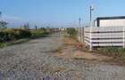 Gradina 355 mp Poiana basmelor - 8