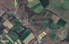Lugoj, Teren 16.800 Mp., Cu deschidere de 80 Ml., La Centura Ocolitoa - 1