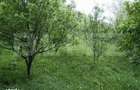 Teren de vanzare, 884 mp, zona Runcu - 6