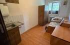 Camera de camin Valea Rosie - 3