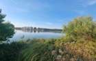 Teren de vanzare in zona Mogosoaia (Iesire la Lac) 2953mp