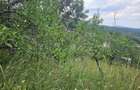 Vand teren intravilan - 3