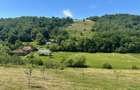 RECO, teren intravilan, loc superb de cabana, Calatea-Bihor