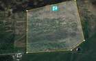 Teren Extravilan 4,5 hectare in Lipova - 1