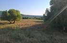 Teren de 1000 mp, în Bârnova - 3