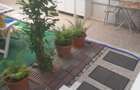 Casa de Vanzare Lugoj Timis !! - 4