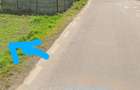 Teren 700 mp Cordun Neam? - Dublu front asfalt - Utilita?i complete - Ideal Comercial - 4
