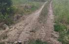 Teren de 808 mp, în Berceni - 1
