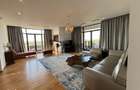 Penthouse 250mp zona Baneasa - 9