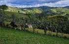 FILM! Cu view panoramic la 360 grade, teren 10.335 mp, Poiana Marului - 8
