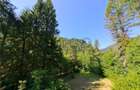 RECO Teren intravilan Boga - 2