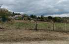 Vand teren in Corbu 1000m2