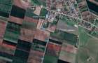 De vanzare teren 2 ha extravilan Silistea jud. Braila - 2 parcele 1 ha - 1