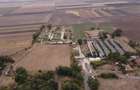 Teren intravilan cu hale industriale-agricole in Varias, Judetul Timis