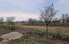 Teren intravilan in Cionche?ti dublu front stradal, 12.5 ari - 6