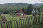 Teren intravilan de vanzare 3500 mp in Valea Doftanei - 6