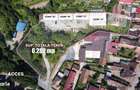 Oportunitate: Teren + Hale + Casa, Zona Centrala, 6.282 mp |VIDEO - 1