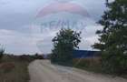 Teren extravilan 3000mp de vanzare la Santion - 5