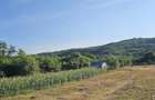 VANZARE MOSIE Sat Mitrofani, Comuna Mitrofani, jud. Valcea