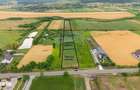Teren de 10.000 m.p. cu deschidere la DN in Silistea/Todiresti - VS