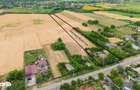 Casa gospodareasca cu teren generos 1,1 Ha in Silistea, Com. Todiresti - 8