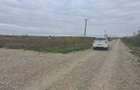 Teren Otopeni Constantin Brancoveanu - 4