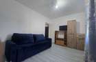 Apartament 1 camera Lunca Cetatuii - 3