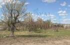 Teren situat in Sopor 5800 mp | Intravilan | Iulius Mall - 3