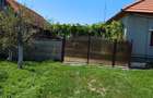 Proprietar vand casa cu livada 3150 mp de vanzare aproape de Lugoj - 7