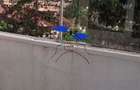 Apartament 2 camere semidecomandat, 50 mp, etaj 4 - Bulevardul Saturn - 2