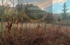Se vinde casa Dornesti Suceava 75.000euro panorama superba spre deal - 5