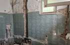 Imobil Str Roma Parter + Curte - 9