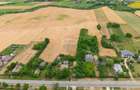 Casa gospodareasca cu teren generos 1,1 Ha in Silistea, Com. Todiresti - 7