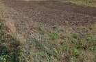 Vand teren zona Tarna Mare - 2