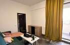 Apartament 2 camere Open Space, Complex Salciilor-Nicolina - 6