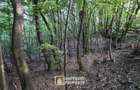 De vanzare teren extravilan 8,2037 ha padure ?i pa?une Borod, Bihor - 7