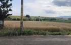 Teren intravilan Targu Neamt str. Valea Seaca - 1