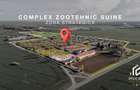 De vanzare Complex Zootehnic Suine Jud. Arad SU 15.30ha, Ferma, Grajd - 2