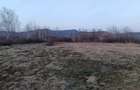 Teren de vanzare Merisor - 5