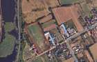 Teren intravilan Curcani, Oltenita 10.000 mp - 5