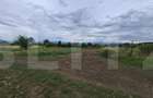 Teren intravilan in Sancraiu, zona panoramica
