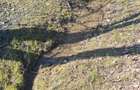 5 - 10 ari Teren pt cabana , picnic , relaxare , liniste , natura . - 2