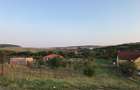 teren intravilan 2400 m2, Radaia, comuna Baciu, Cluj - 2