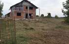 Casa la rosu Ineu de Cris Bihor - 1